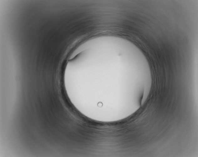 X0000113120444200910091140