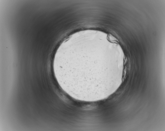 X0000113120447200910091140