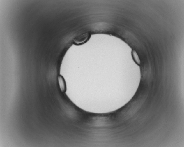 X0000113120448200910091140
