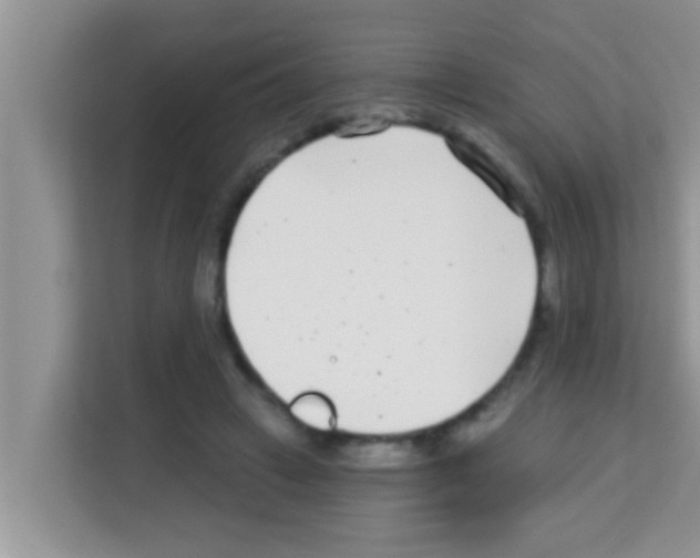 X0000113120449200910091140
