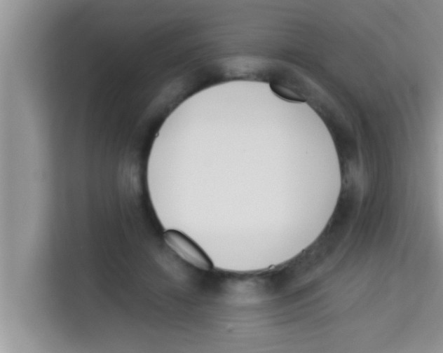 X0000113120452200910091140