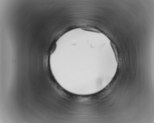 X0000113120454200910091140