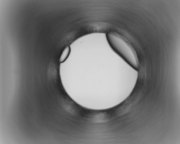 X0000113120456200910091140