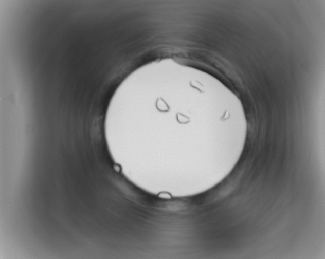 X0000113120462200910091140