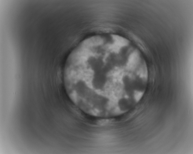 X0000113120465200910091140