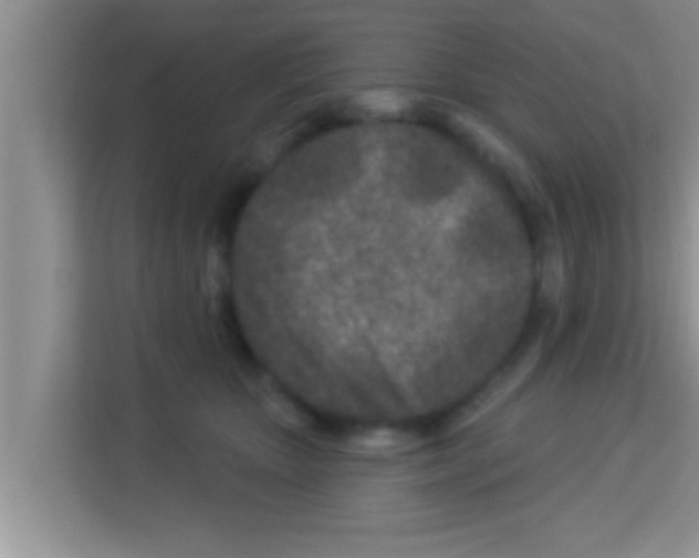 X0000113120467200910091140