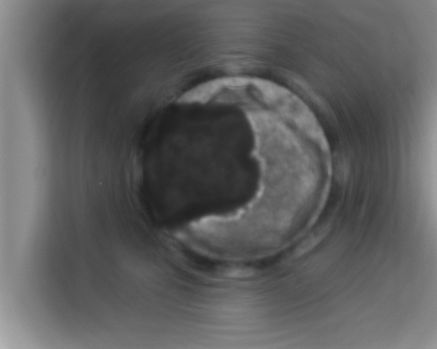 X0000113120471200910091140