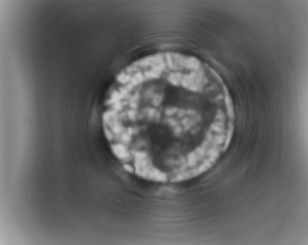 X0000113120475200910091140