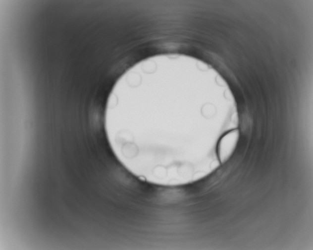 X0000113120476200910091140