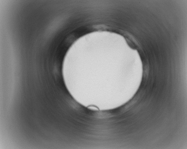 X0000113120477200910091140