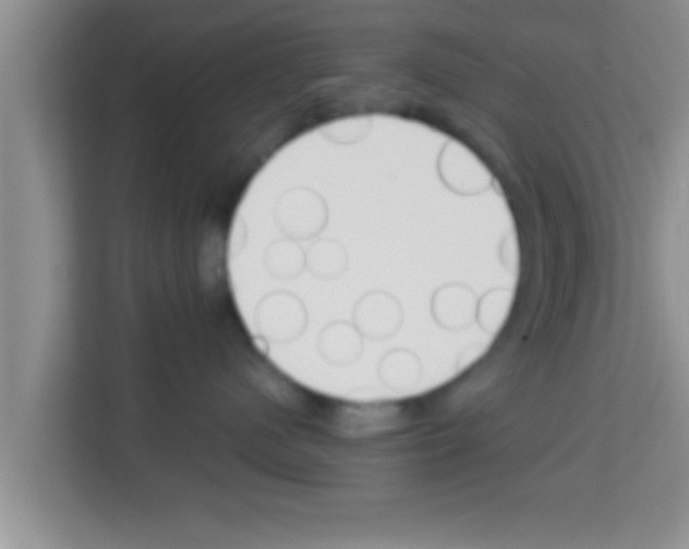 X0000113120480200910091140