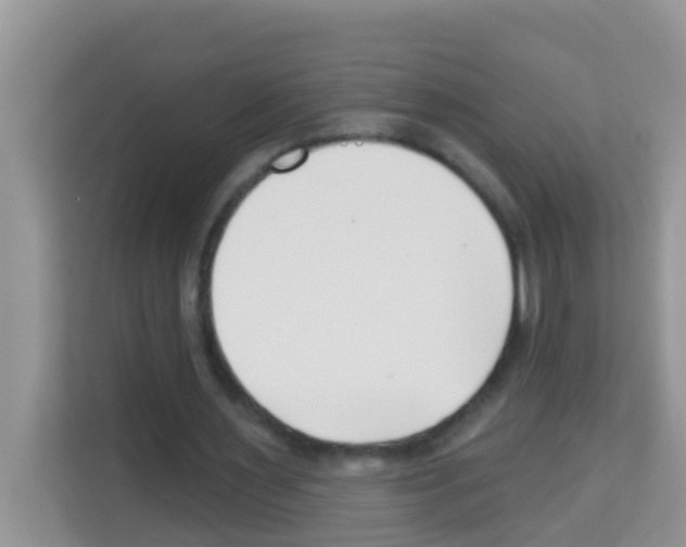 X0000113120483200910091140