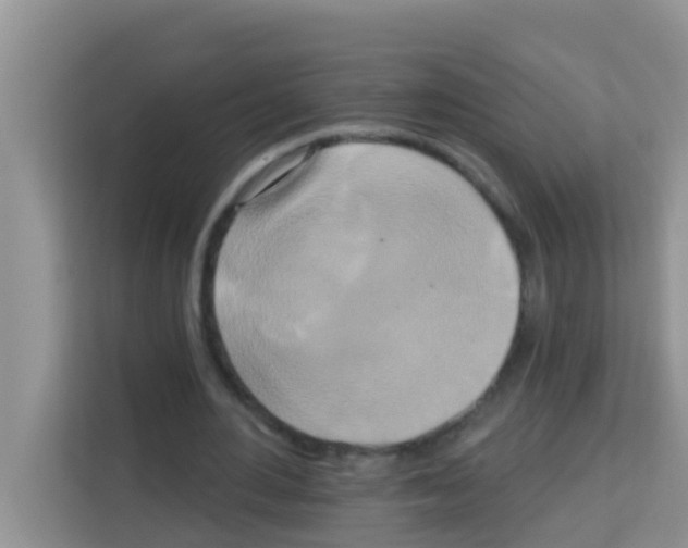 X0000113120484200910091140
