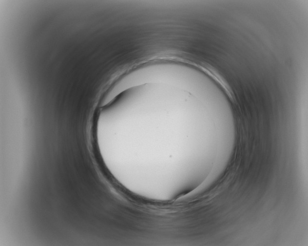 X0000113120485200910091140
