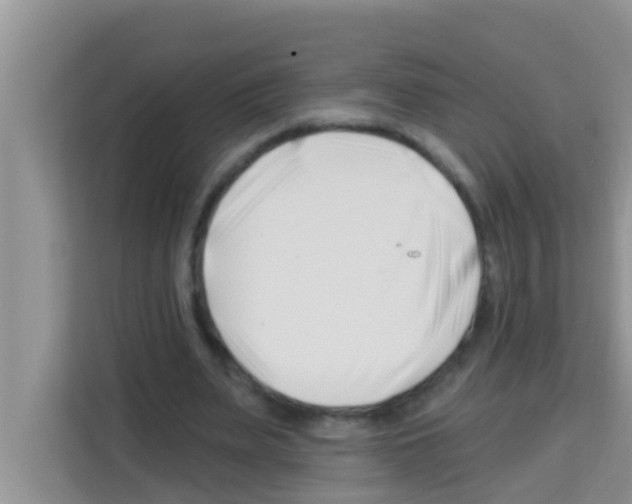 X0000113120487200910091140