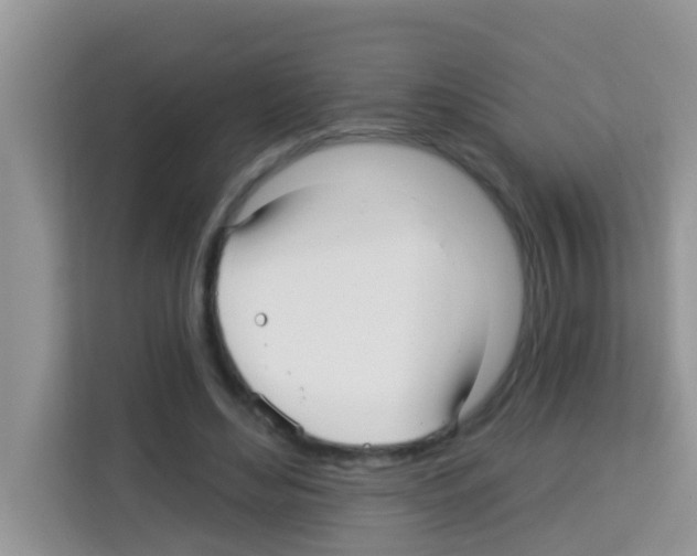 X0000113120492200910091140