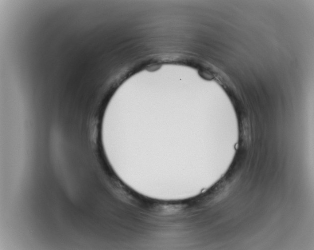 X0000113120495200910091140