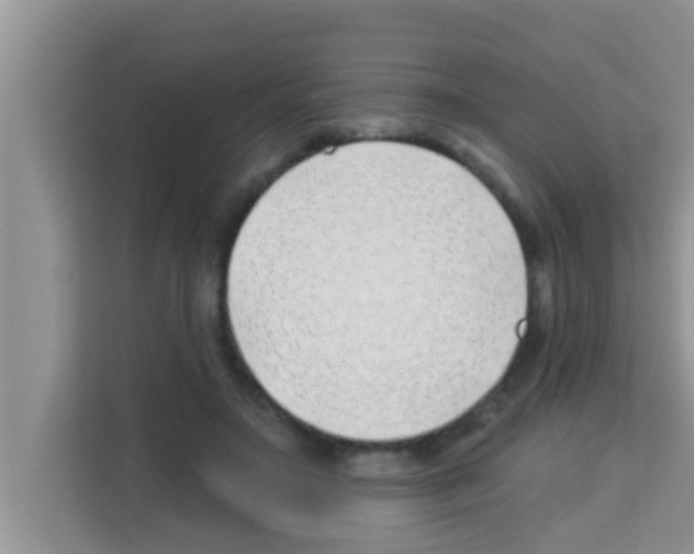 X0000113120499200910091140