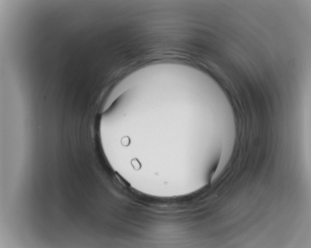 X0000113120500200910091140