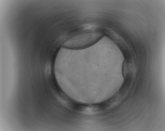 X0000113120504200910091140