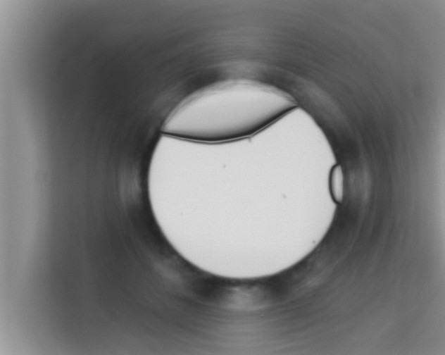 X0000113120508200910091139