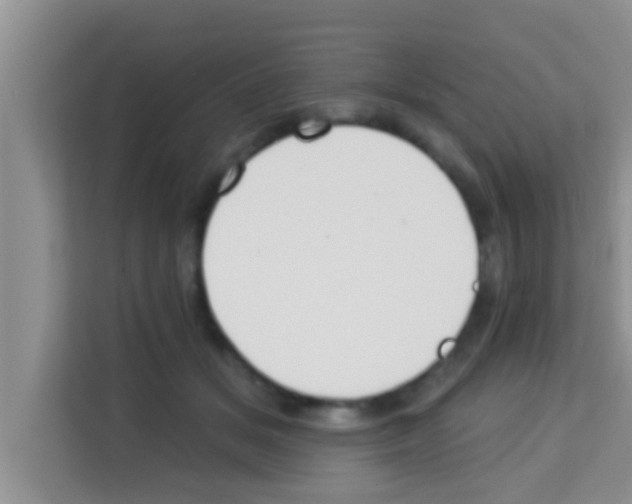 X0000113120509200910091139