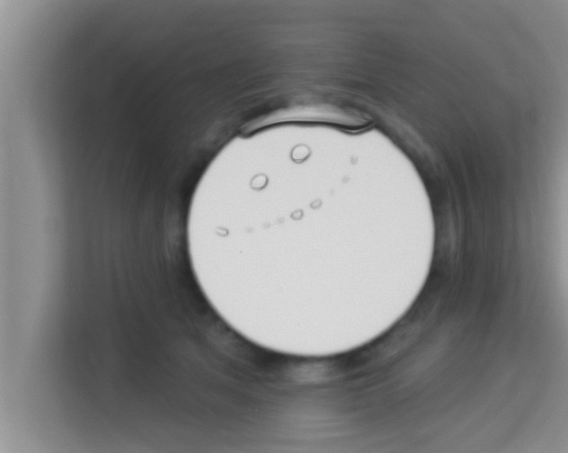 X0000113120513200910091139