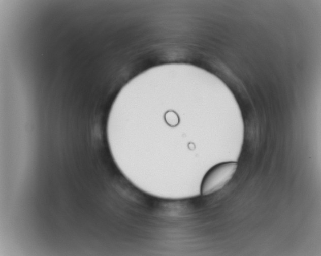 X0000113120516200910091139