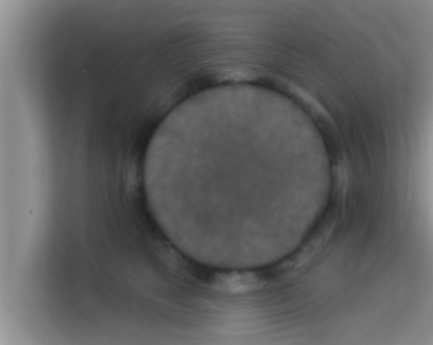 X0000113120517200910091139