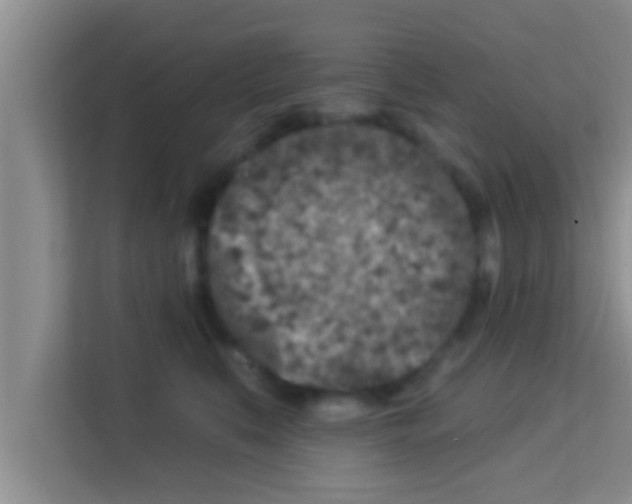 X0000113120519200910091139