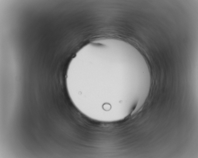 X0000113120520200910091139
