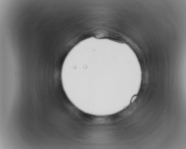 X0000113120521200910091139