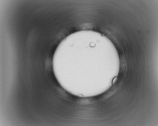 X0000113120523200910091139