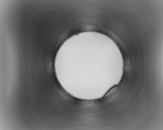 X0000113120524200910091139