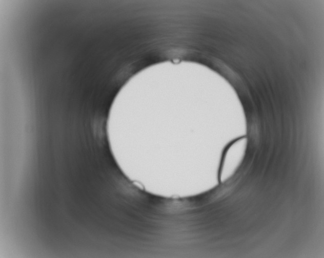 X0000113120525200910091139