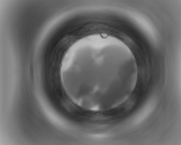 X0000113120526200910091139
