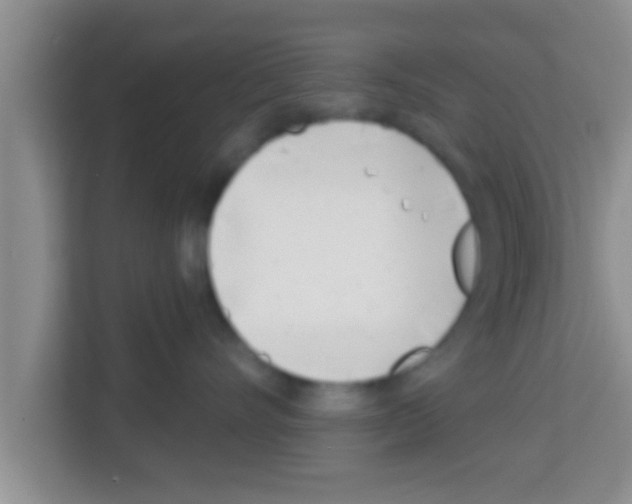 X0000113120528200910091139