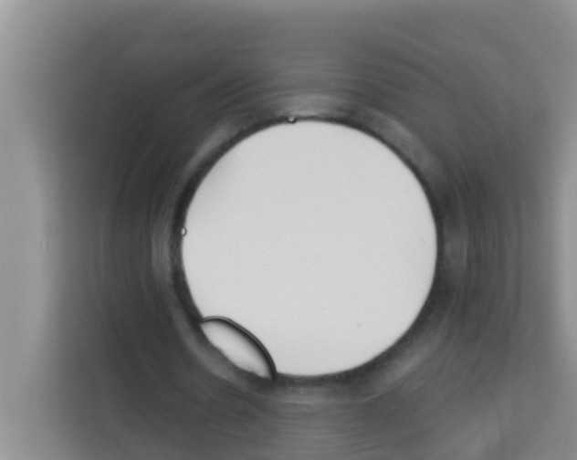 X0000113120530200910091139