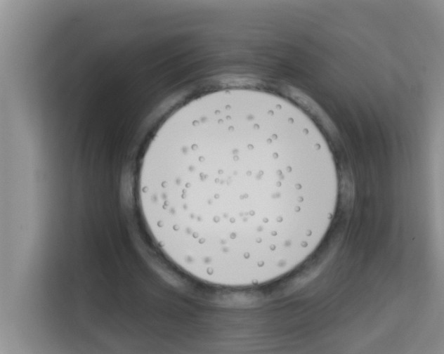 X0000113120533200910091139