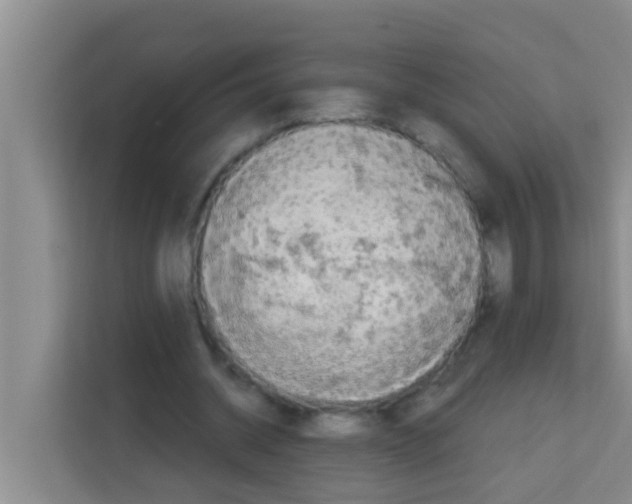 X0000113120534200910091139
