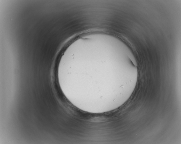 X0000113120536200910091139
