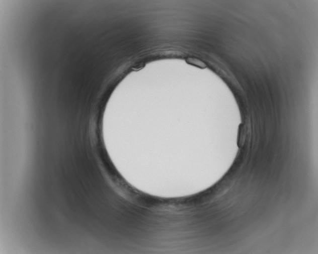 X0000113120538200910091139