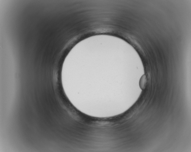 X0000113120539200910091139