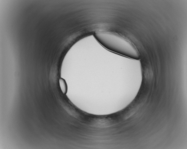 X0000113120540200910091139