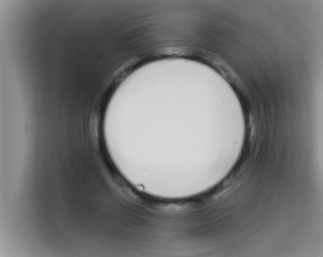 X0000113120542200910091139