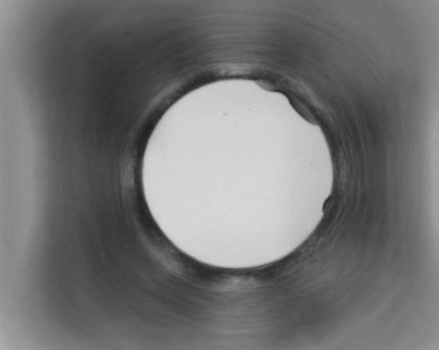X0000113120543200910091139