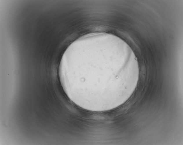 X0000113120545200910091139