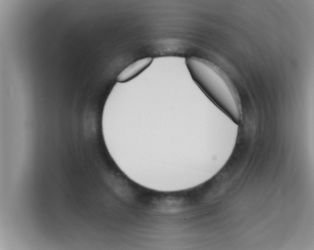 X0000113120546200910091139