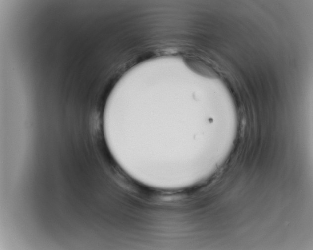 X0000113120555200910091139