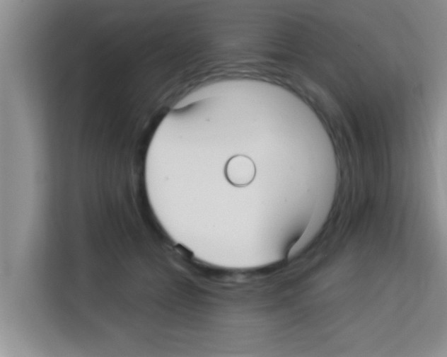X0000113120558200910091139